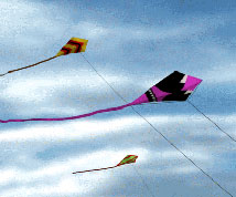 Kites In The Sky